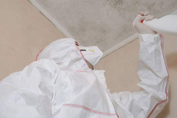 Best Black Mold Removal  in Berkeley Lake, GA
